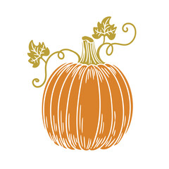 Original hand-drawn illustration of a Halloween autumn pumpkin in a minimalist style. illustrations for posters, cards, and graphic design.