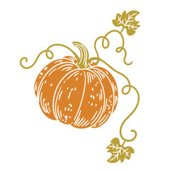 Original hand-drawn illustration of a Halloween autumn pumpkin in a minimalist style. illustrations for posters, cards, and graphic design.