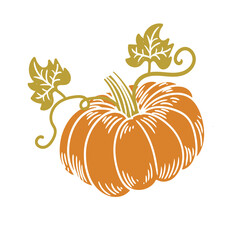 Original hand-drawn illustration of a Halloween autumn pumpkin in a minimalist style. illustrations for posters, cards, and graphic design.