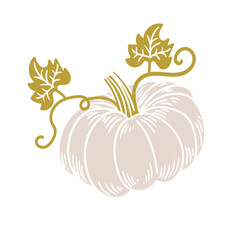 Original hand-drawn illustration of a Halloween autumn pumpkin in a minimalist style. illustrations for posters, cards, and graphic design.