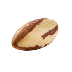 A single brazil nut with its distinctive brown and white shell is isolated on white isolated on transparent background