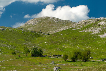 Dinaric Mountains.