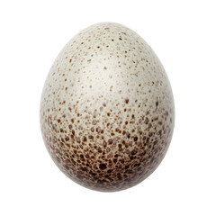 Speckled egg isolated on black background