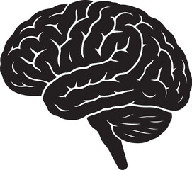 human brain vector art  মানুষের ব্রেন