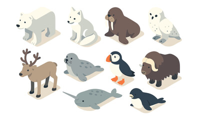 Arctic animals collection in isometric style featuring polar bear, walrus, narwhal, and more