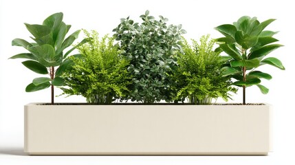 Fototapeta premium Minimalistic design with ivory rectangular planter featuring lush greenery for modern interiors