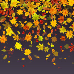 Falling leaves on dark background. Perfect for brochures, presentations and any design.