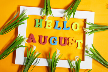 Bright August Greeting with Colorful Letters and calla lilies Flower and frame