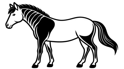 Fototapeta premium Przewalski's Horse Vector Illustration for Wildlife Concept