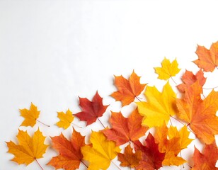 Fototapeta premium Autumn leaves on white background (1)