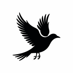 Obraz premium Graceful Silhouette of a Bird in Flight with Detailed Feathers and Wings Spread Wide on a White Backdrop