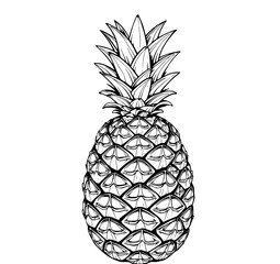 Obraz premium Pineapple Line Art: A detailed monochrome illustration depicting a whole pineapple, showcasing its textured skin and spiky crown with meticulous linework.