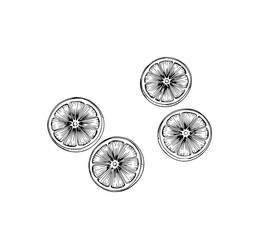 Citrus Slices: A bold monochrome illustration depicts four juicy orange slices, rendered in detailed line art, exuding freshness and vibrancy.