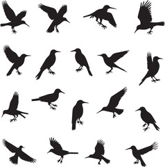 Bird Silhouettes Vector Set  Flying and Perched Icons