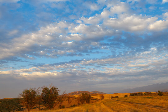 Vibrant summer cloudy landscape - meadows in highlands