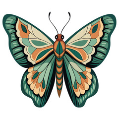 butterfly vector illustration