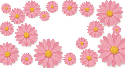 Pink daisy blossoms with yellow centers on white background