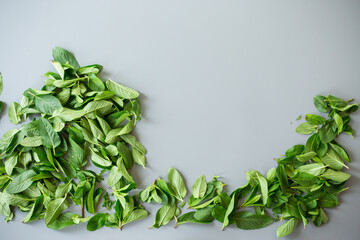 Green mint leaves close-up on stone background