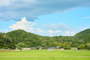 Obraz premium 農村の風景