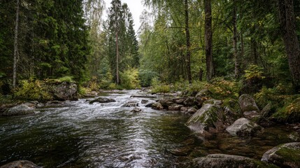 Serene woodland river flows swiftly amidst moss-covered rocks and verdant trees in natural beauty.
