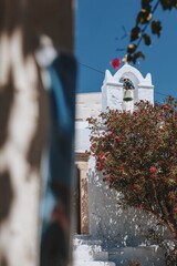 Amorgos Church Framed by Oleander Blossoms
