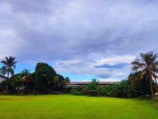 a view of a wide field with green grass decorated with several trees in the background. The sky...