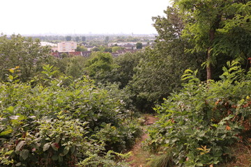 Blick auf die Stadt Düsseldorf am Rhein	