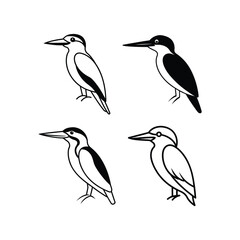 Obraz premium Kingfisher set of vector art illustration