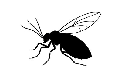 insects silhouette, bug silhouette, insect vector, insect icon, beetle silhouette, butterfly silhouette, ant silhouette, fly silhouette, mosquito silhouette, bee silhouette, wasp silhouette, moth silh