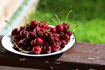 Plate filled with freshly picked ripe cherries on wooden surface. Juicy red fruits glistening in...