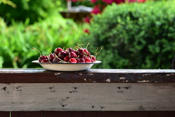 Rustic outdoor scene with a plate of ripe cherries placed on a wooden fence, with lush green garden...