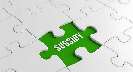Fototapeta premium The word subsidy is revealed as a puzzle piece is removed from the puzzle