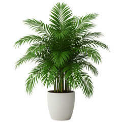 Obraz premium Lush green decorative palm plant in a minimalist white ceramic pot, isolated on a white background. Realistic 3D rendering for interior design.