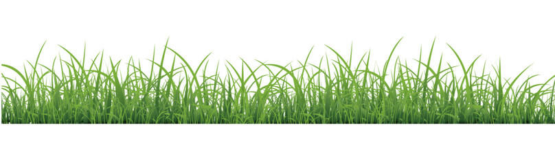 Grass Isolated With White Background