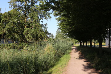 Landschaftspark in Castrop-Rauxel im Ruhrgebiet	