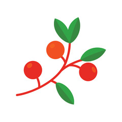 small branch with red orange berries