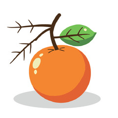 A vibrant cartoon illustration of a single orange fruit with a green leaf and branches.
