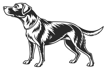 charlie dog sihouette black vector