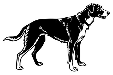 charlie dog sihouette black vector