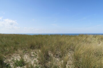 Hinter dem Strandgras auf Dünen des Ostseebads Wustrow in Deutschland ist die Ostsee zu sehen. Es...