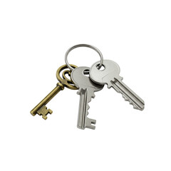 Meticulously detailed tiny brass skeleton and silver house keys on polished metal keyring, high angle on transparent seamless background, no shadows, ultra realistic, concept for pristine product