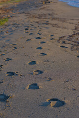 A trail of small footprints leads across a sandy beach towards the gentle waves of the ocean,...