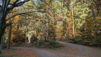 Atmospheric beautiful landscape of autumn forest. Golden autumn.