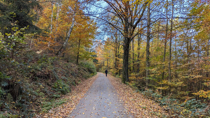Man walking along the road among yellow, orange and green trees illuminated by the rays of the sun