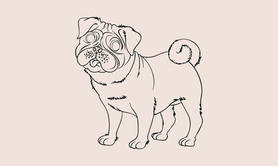 Pugs dog hand drawn line art vector drawing black and white pets illustration