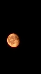 moon in the night sky