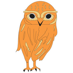 Hand draw cute owl