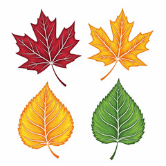 Autumn Leaf Collection, Colorful Fall Leaves, Various Leaf Types