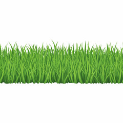 
Lush Green Grass & Bush Collection