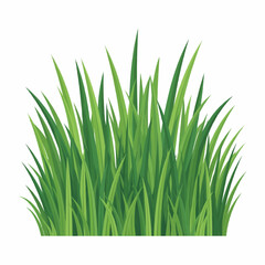 Fototapeta premium Lush Green Grass & Bush Collection
